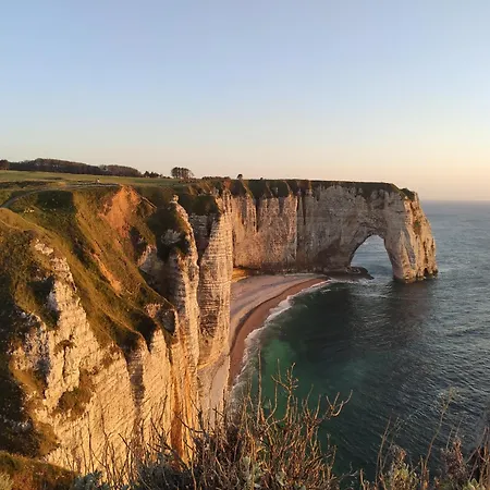 Coqslitscaux * Colleville