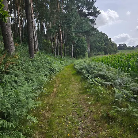 Coqslitscaux Colleville