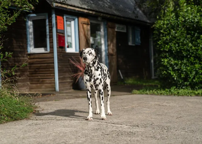 Coqslitscaux * Colleville