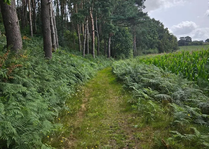 Coqslitscaux Colleville